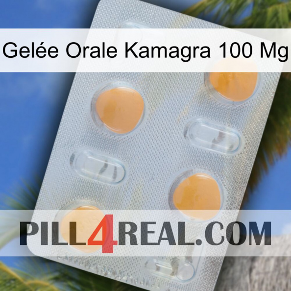 Gelée Orale Kamagra 100 Mg 24.jpg